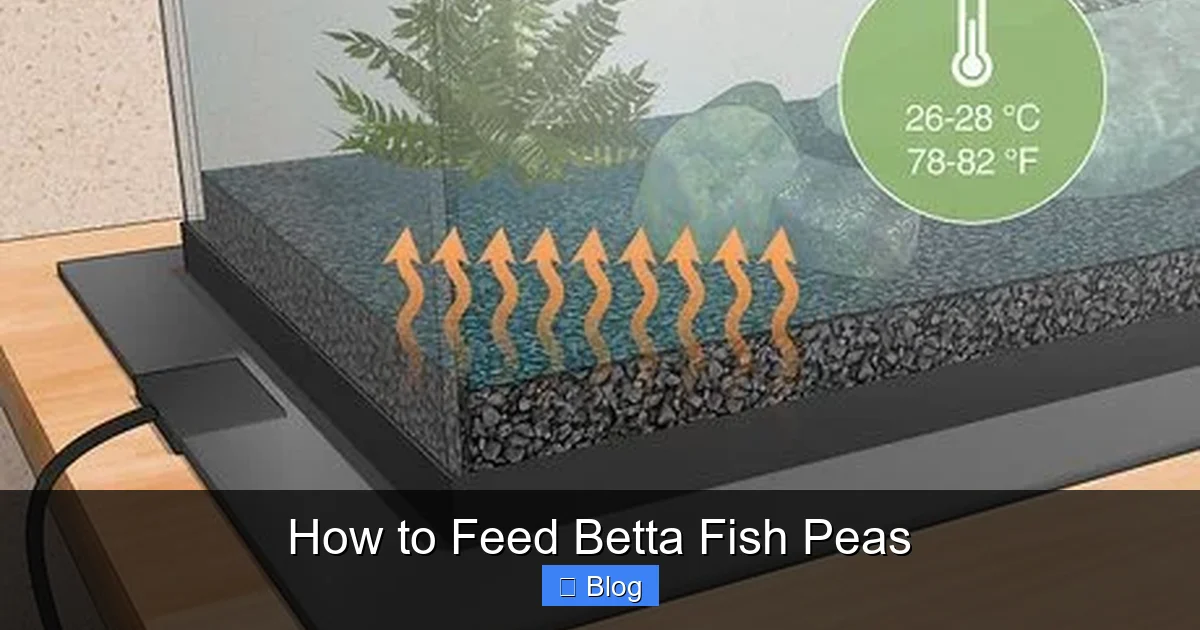 How to Feed Betta Fish Peas