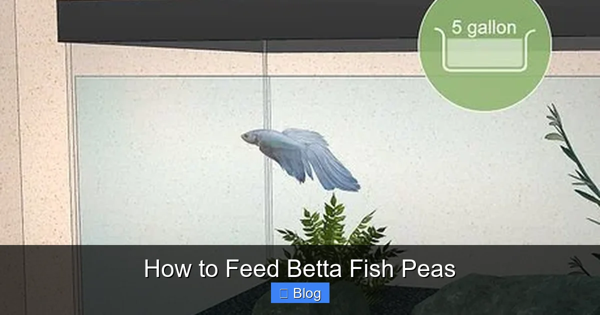 How to Feed Betta Fish Peas