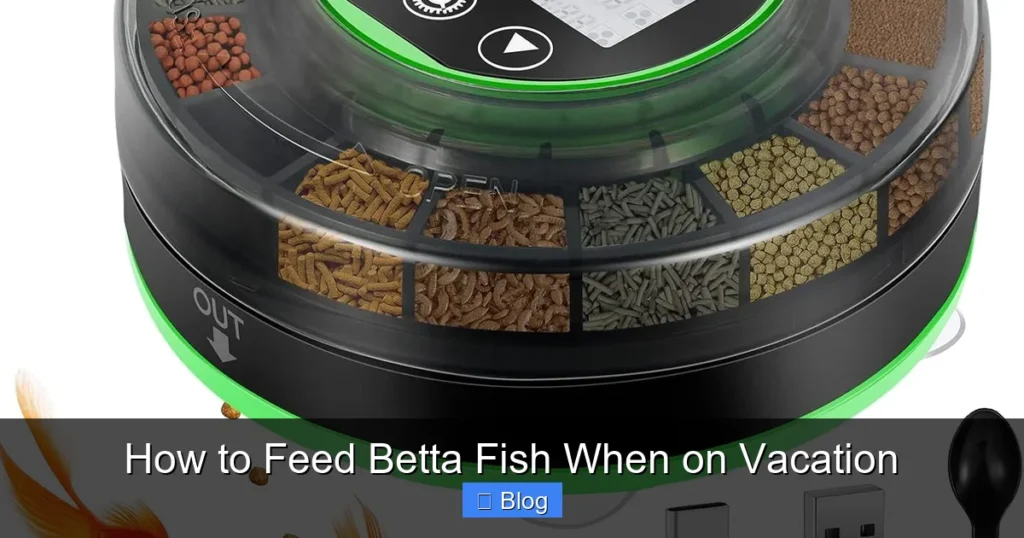 How to Feed Betta Fish When on Vacation