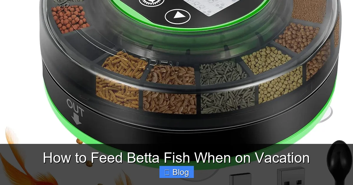 How to Feed Betta Fish When on Vacation