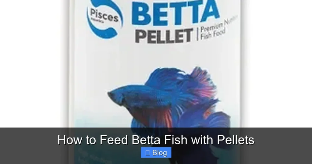 How to Feed Betta Fish with Pellets