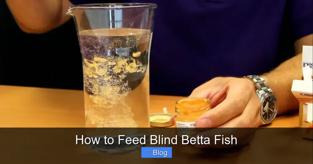 How to Feed Blind Betta Fish