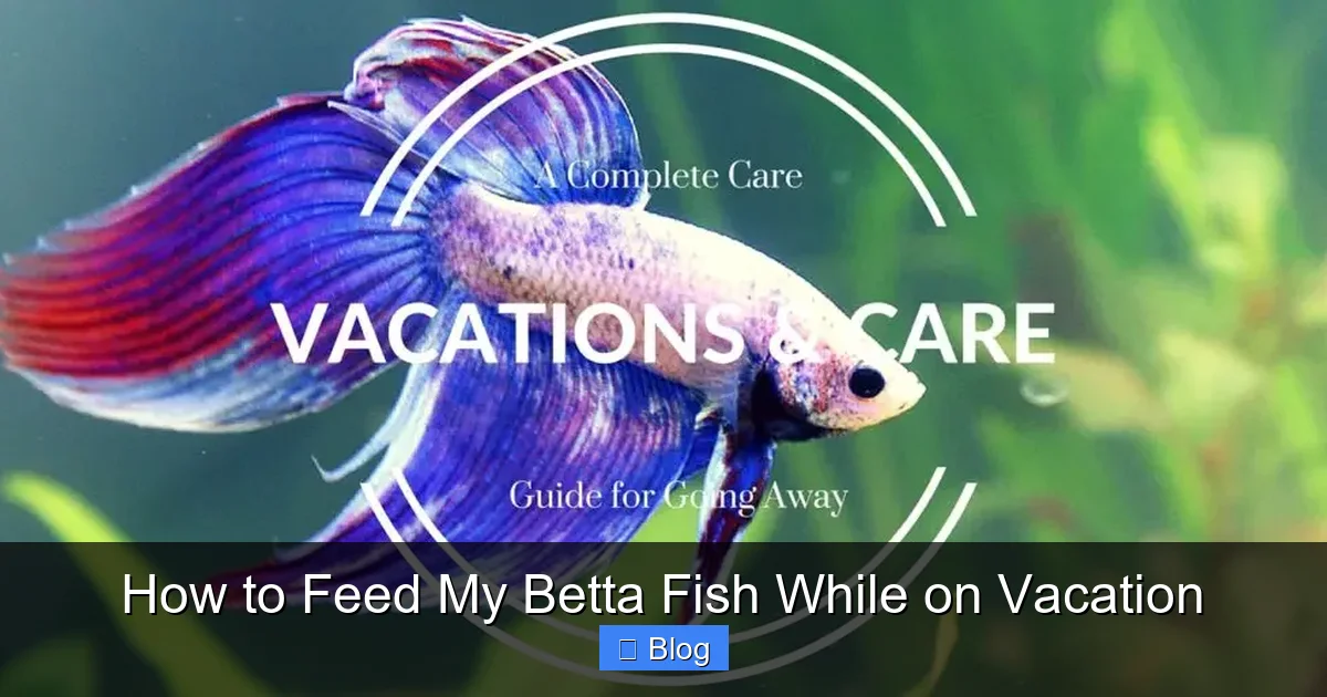 How to Feed My Betta Fish While on Vacation