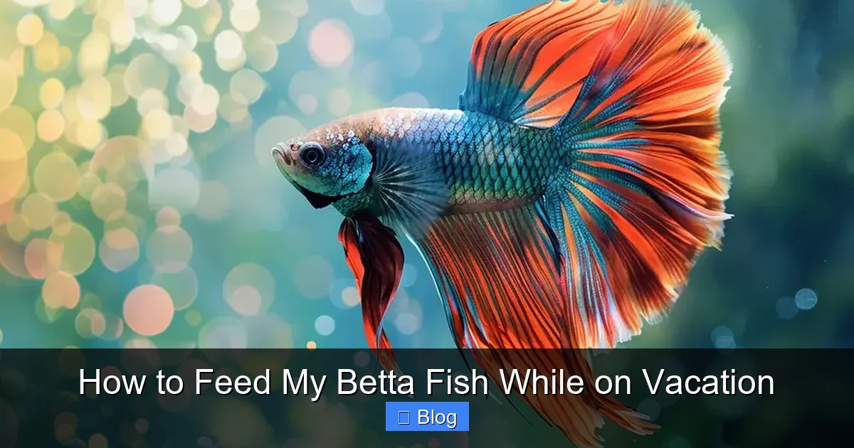 How to Feed My Betta Fish While on Vacation