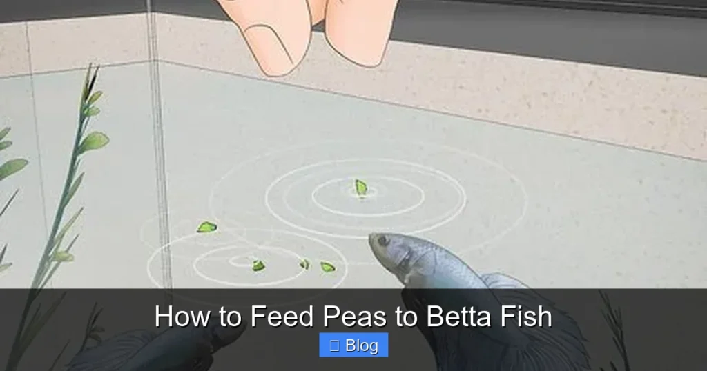 How to Feed Peas to Betta Fish