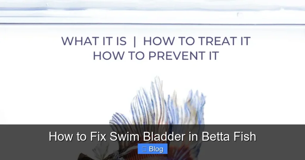 How to Fix Swim Bladder in Betta Fish