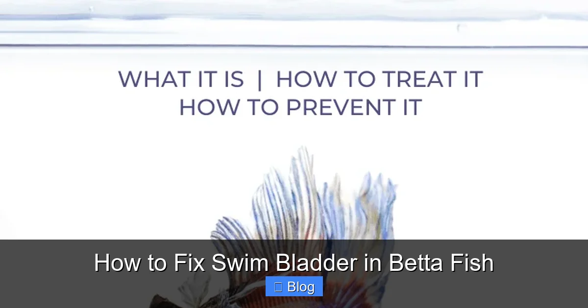 How to Fix Swim Bladder in Betta Fish