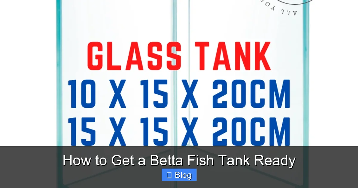 How to Get a Betta Fish Tank Ready