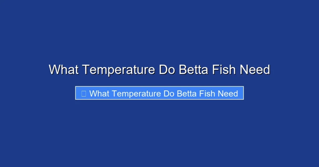 What Temperature Do Betta Fish Need