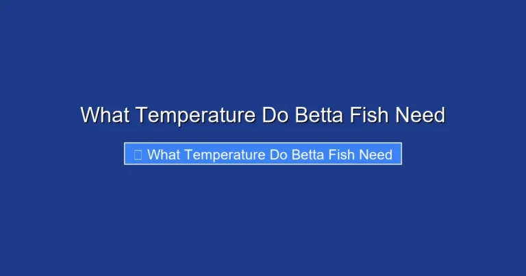What Temperature Do Betta Fish Need