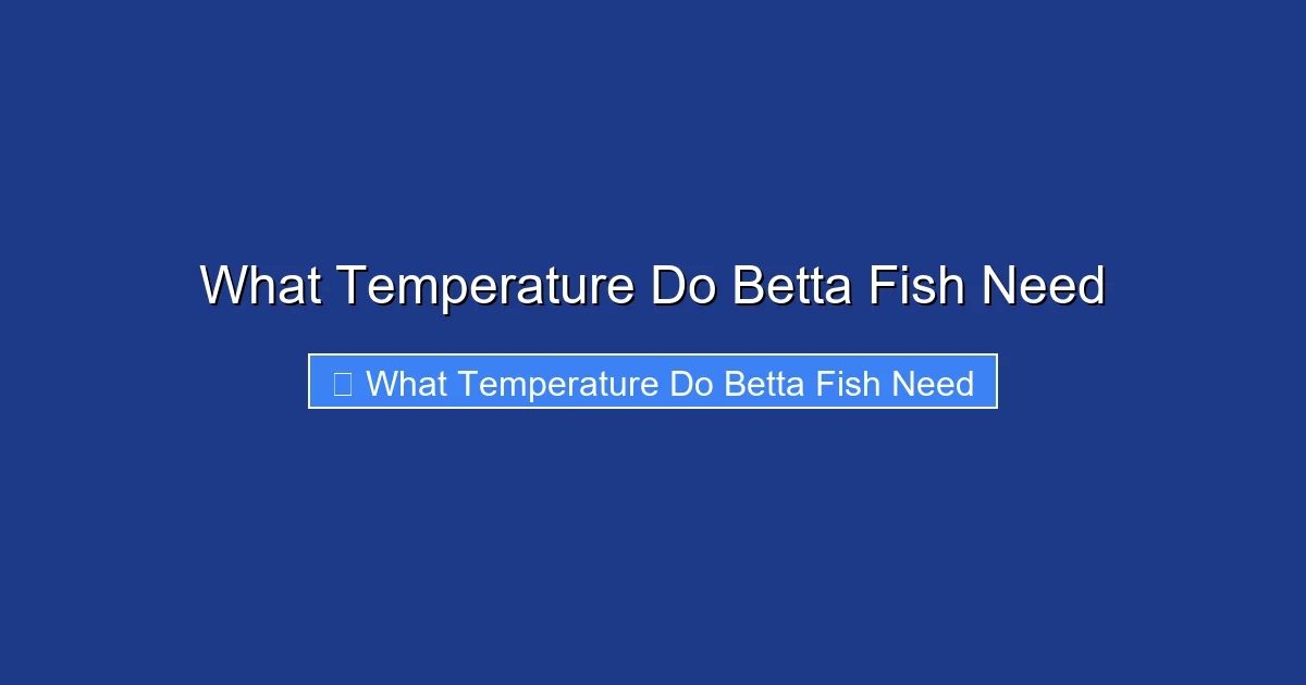What Temperature Do Betta Fish Need