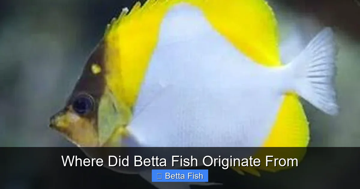 Where Did Betta Fish Originate From