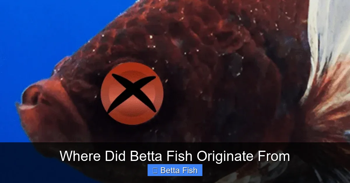 Where Did Betta Fish Originate From