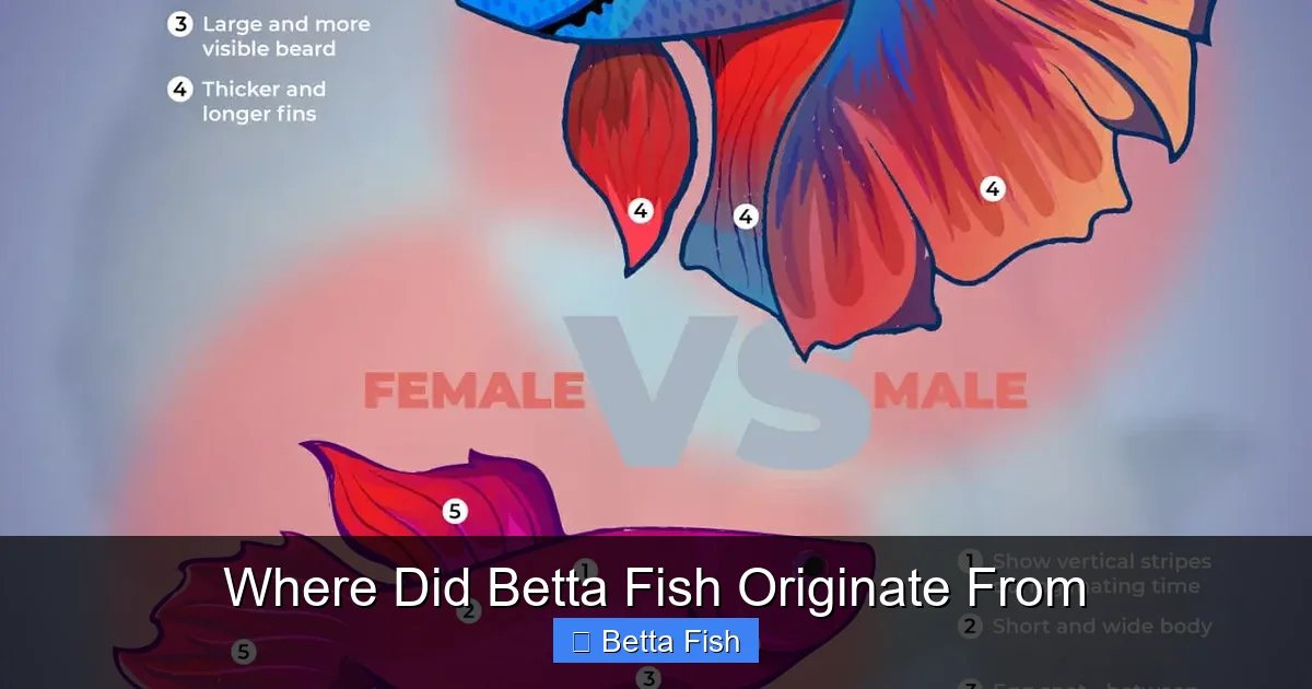Where Did Betta Fish Originate From