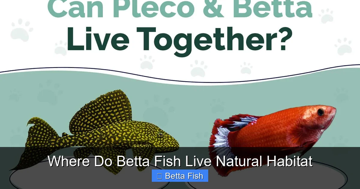 Where Do Betta Fish Live Natural Habitat