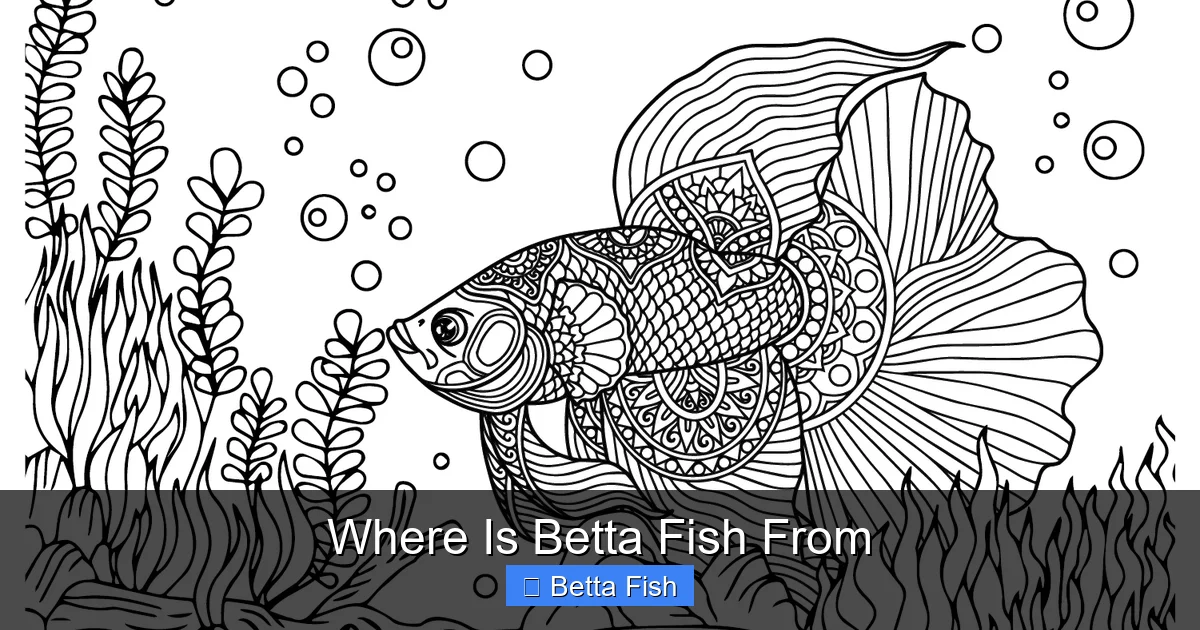 Where Is Betta Fish From