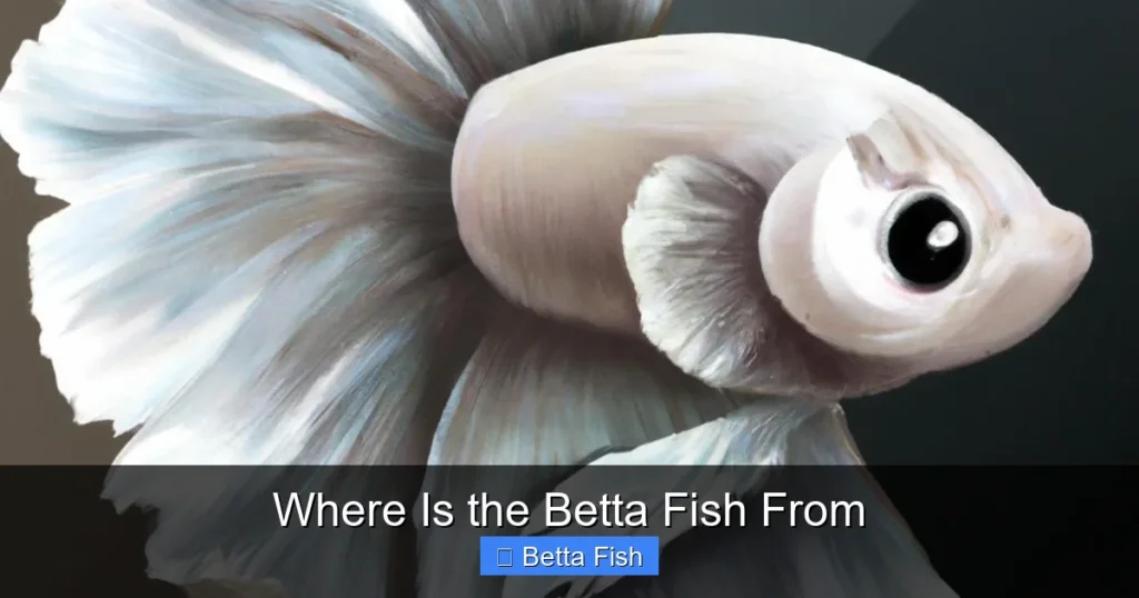Where Is the Betta Fish From