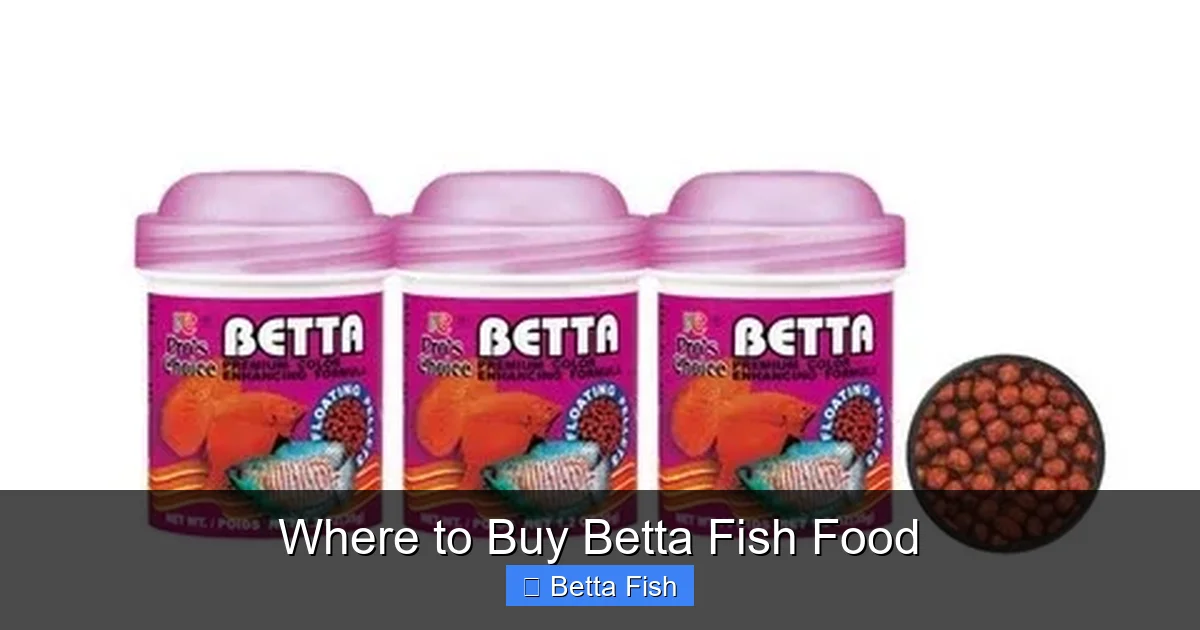 Where to Buy Betta Fish Food