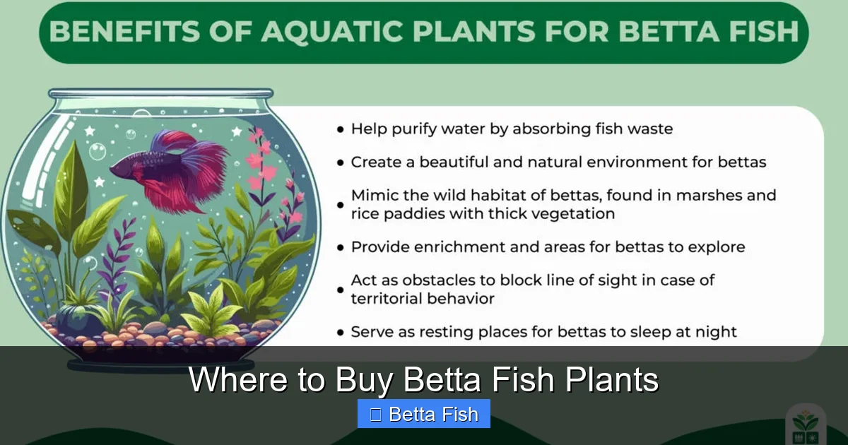 Where to Buy Betta Fish Plants