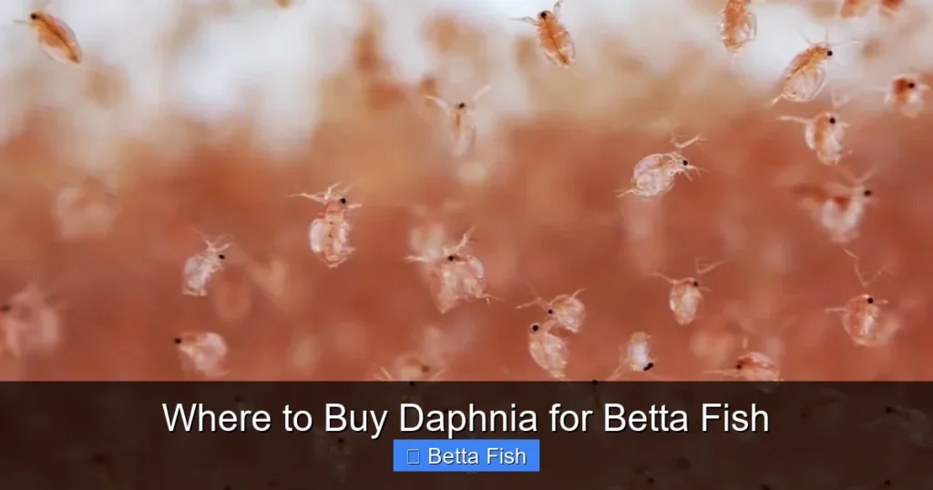 Where to Buy Daphnia for Betta Fish