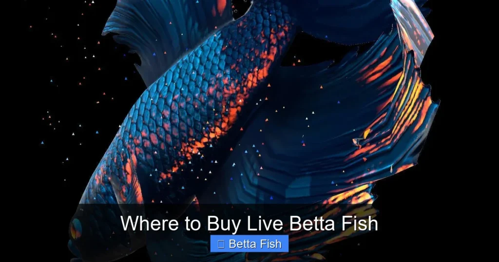 Where to Buy Live Betta Fish