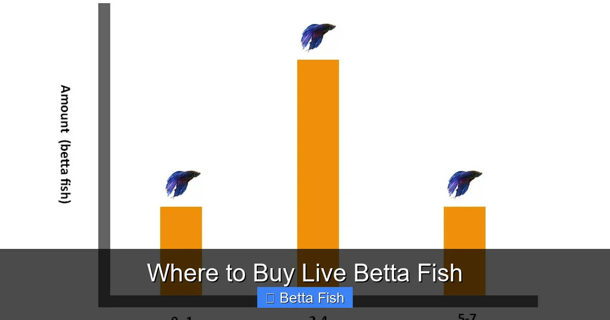Where to Buy Live Betta Fish
