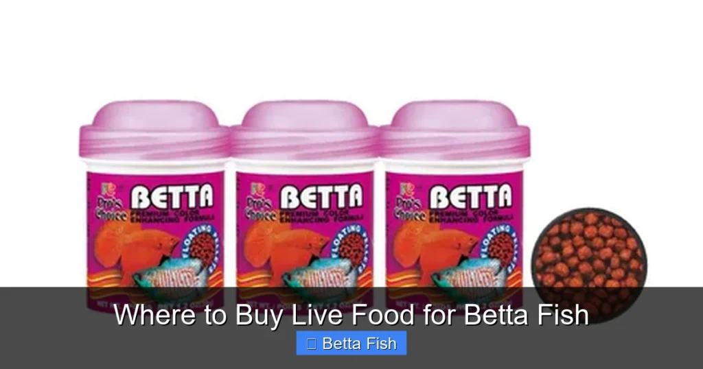 Where to Buy Live Food for Betta Fish
