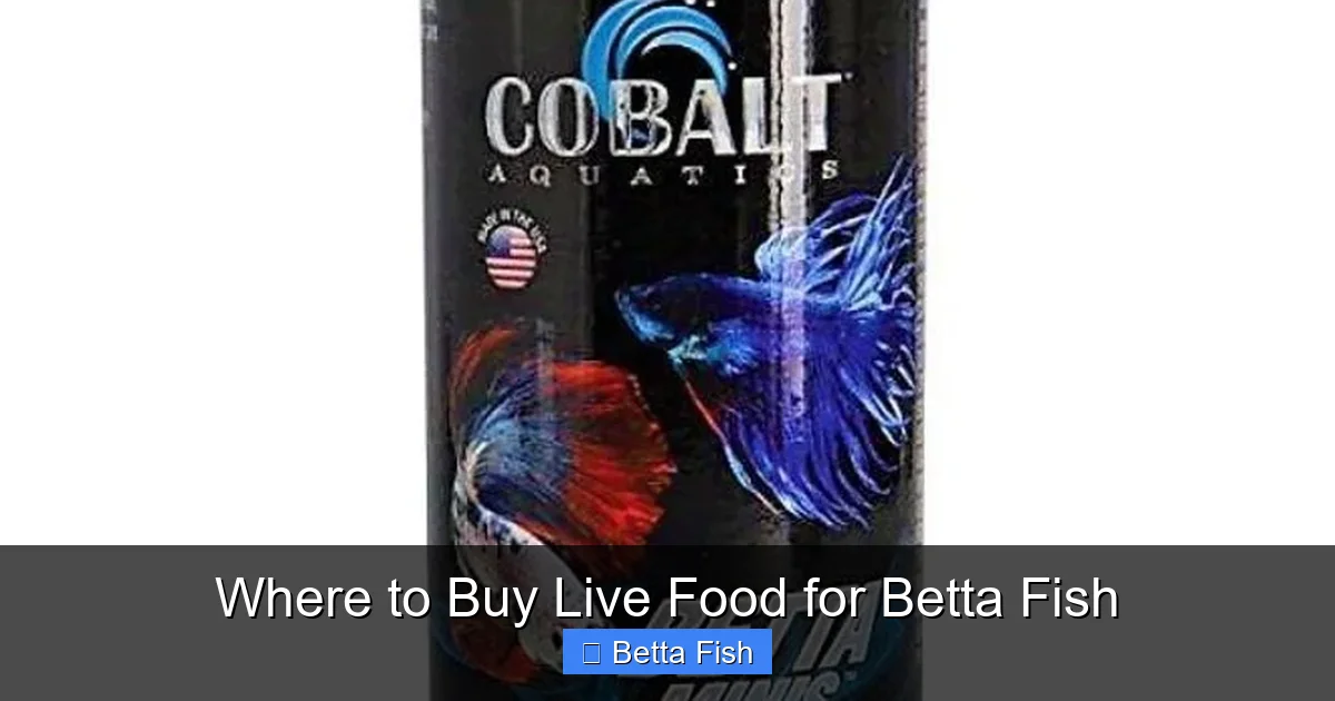 Where to Buy Live Food for Betta Fish