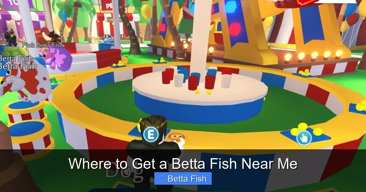 Where to Get a Betta Fish Near Me