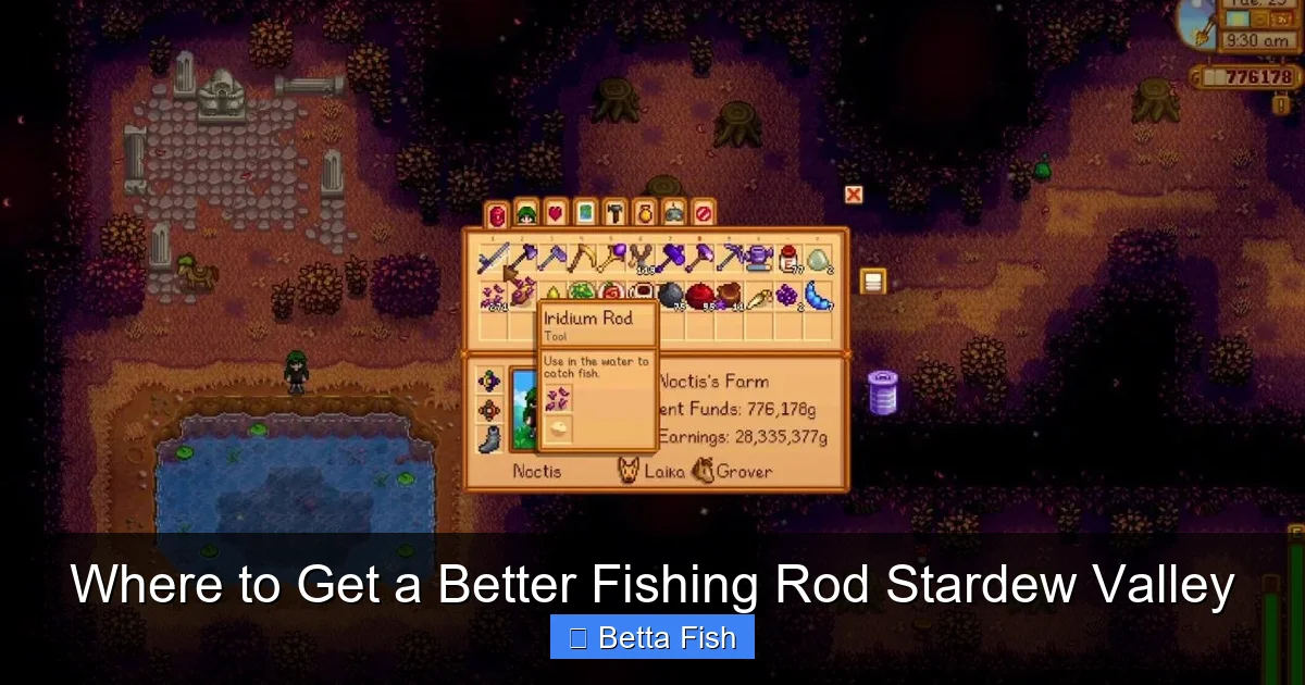 Where to Get a Better Fishing Rod Stardew Valley