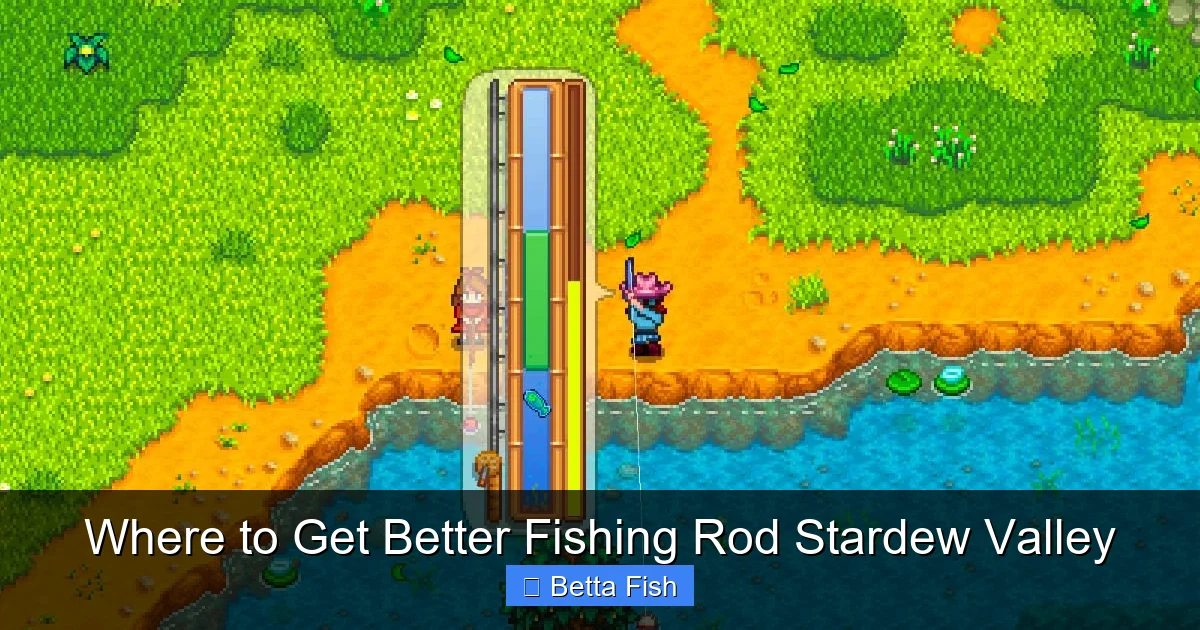 Where to Get Better Fishing Rod Stardew Valley