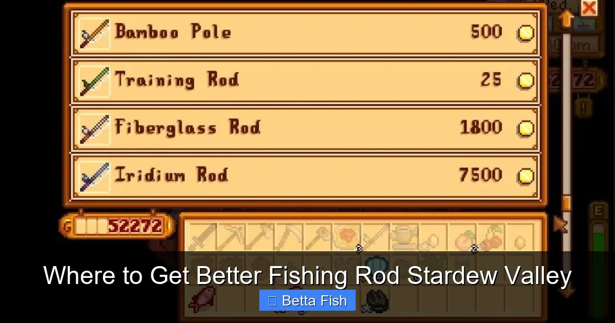Where to Get Better Fishing Rod Stardew Valley