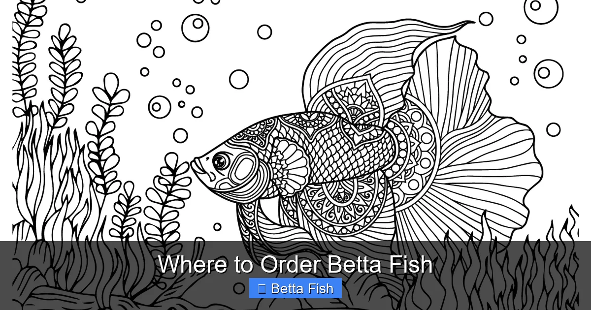 Where to Order Betta Fish