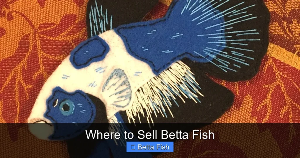 Where to Sell Betta Fish