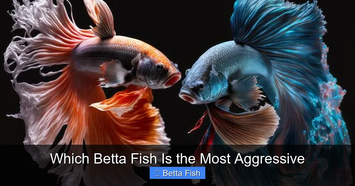 Which Betta Fish Is the Most Aggressive
