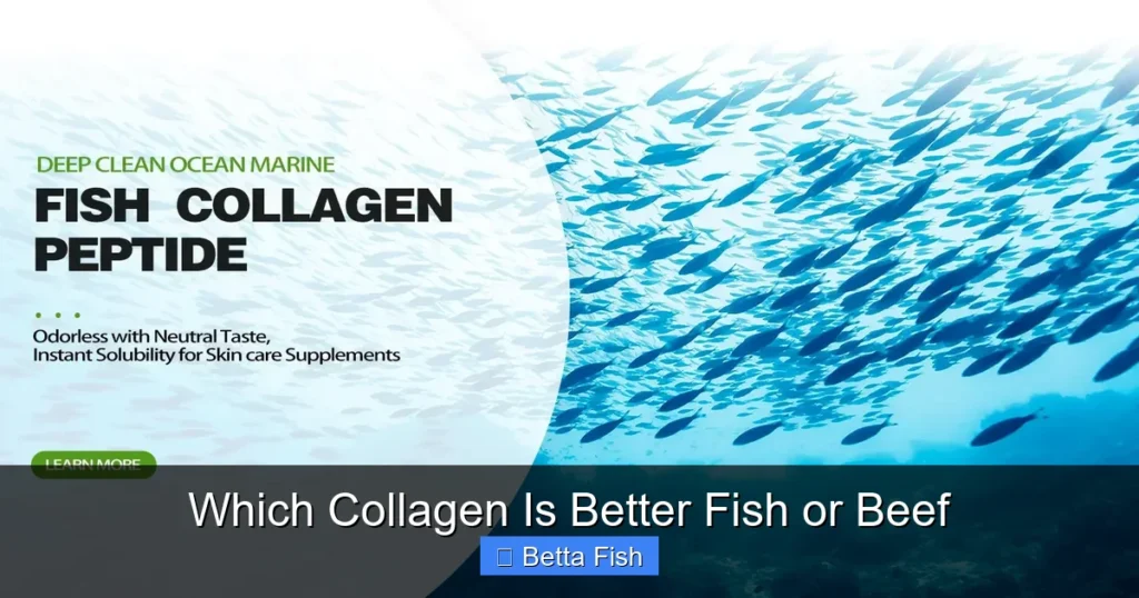 Which Collagen Is Better Fish or Beef