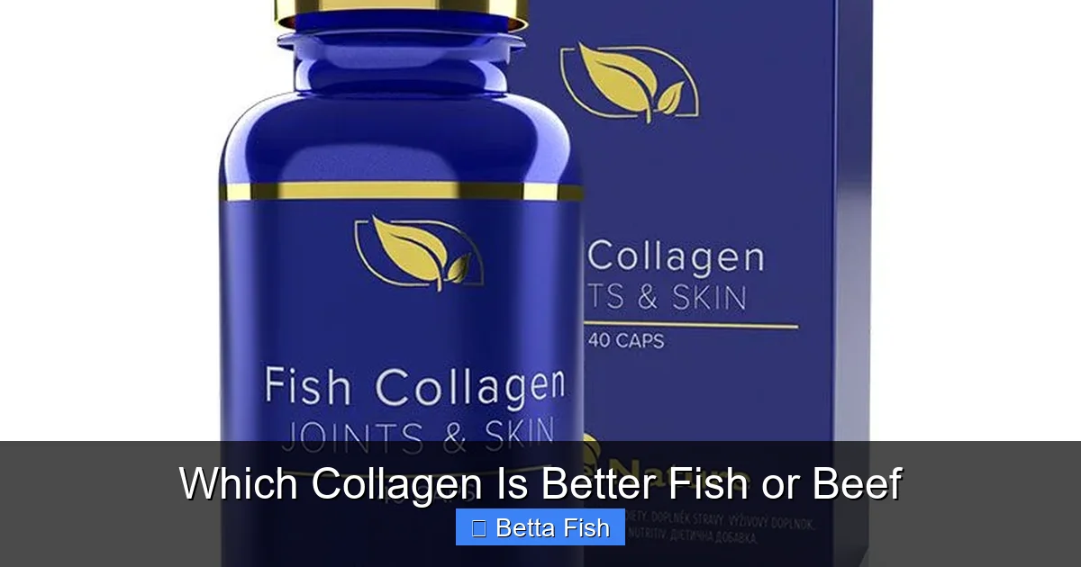 Which Collagen Is Better Fish or Beef