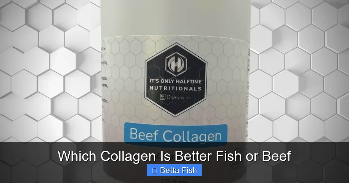 Which Collagen Is Better Fish or Beef