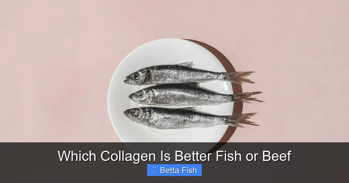 Which Collagen Is Better Fish or Beef