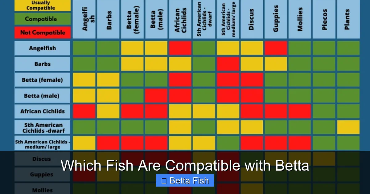 Which Fish Are Compatible with Betta