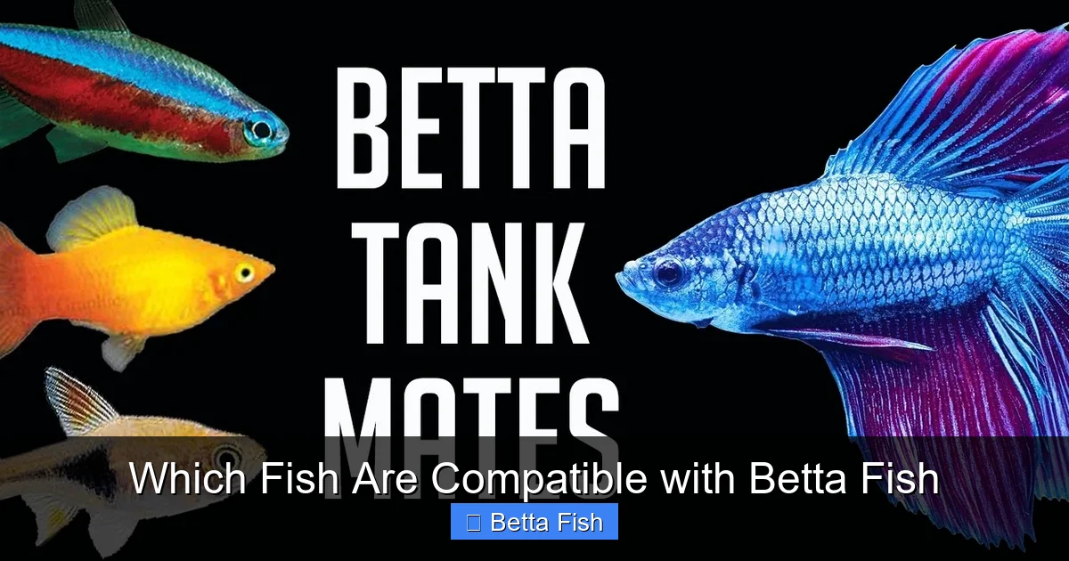 Which Fish Are Compatible with Betta Fish