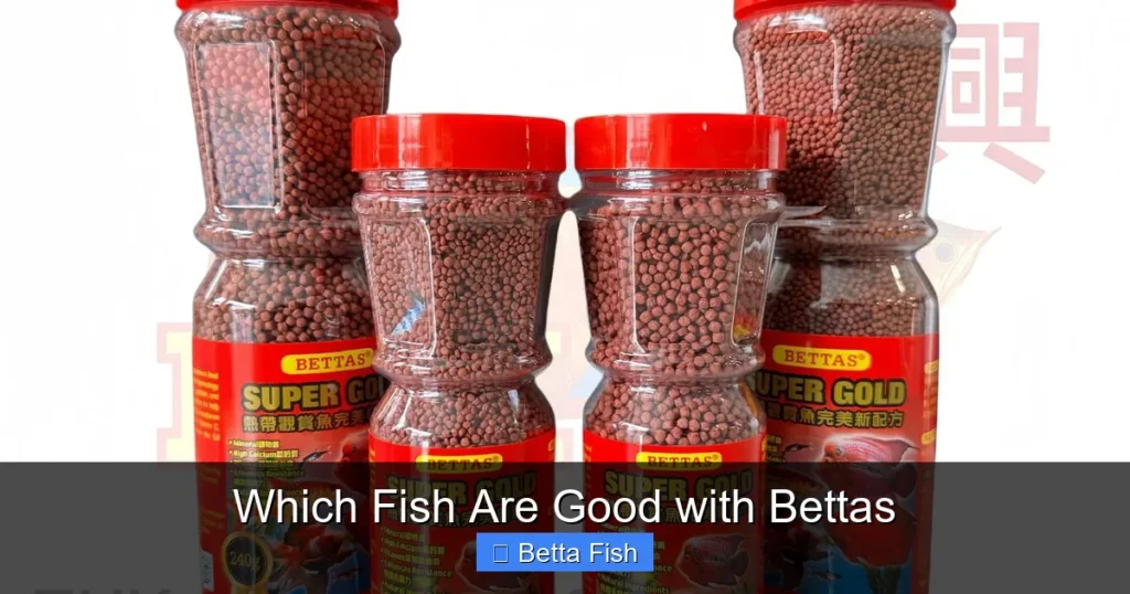 Which Fish Are Good with Bettas