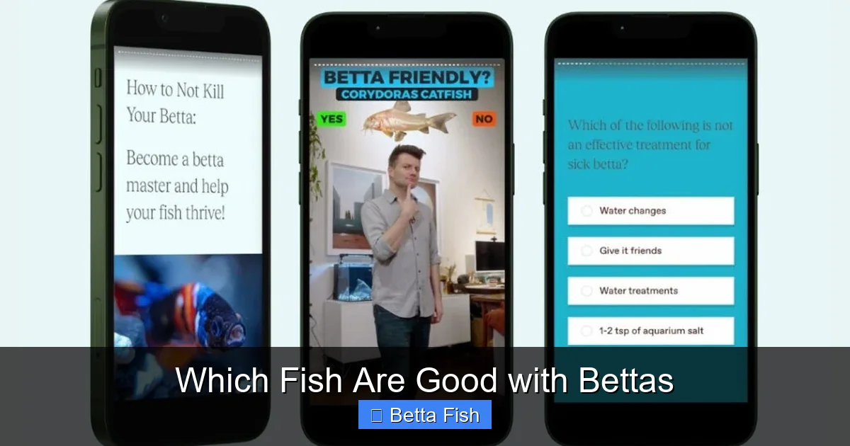 Which Fish Are Good with Bettas