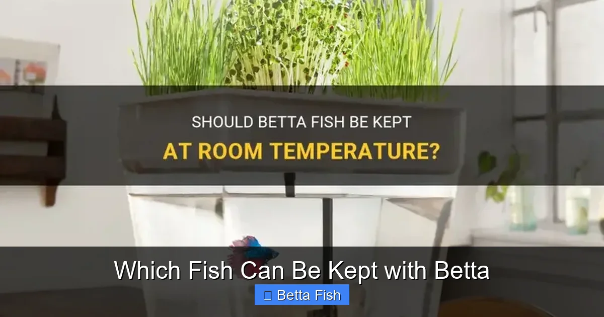 Which Fish Can Be Kept with Betta