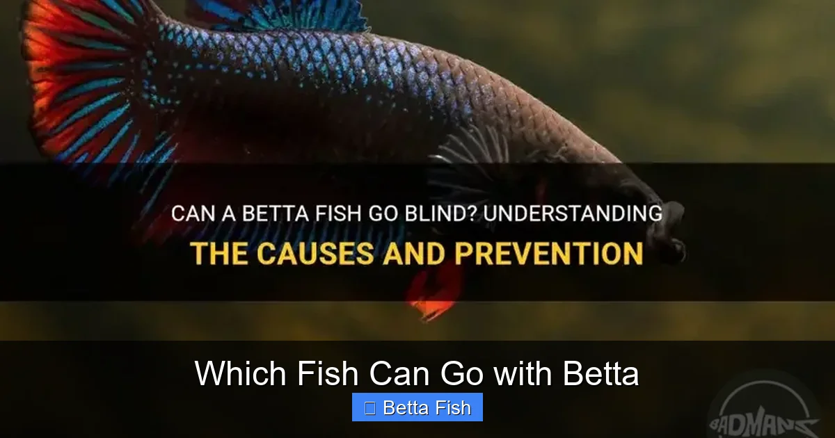 Which Fish Can Go with Betta