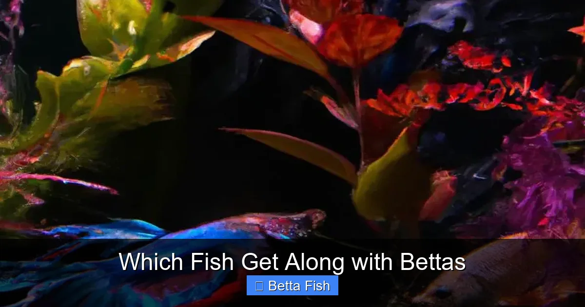 Which Fish Get Along with Bettas