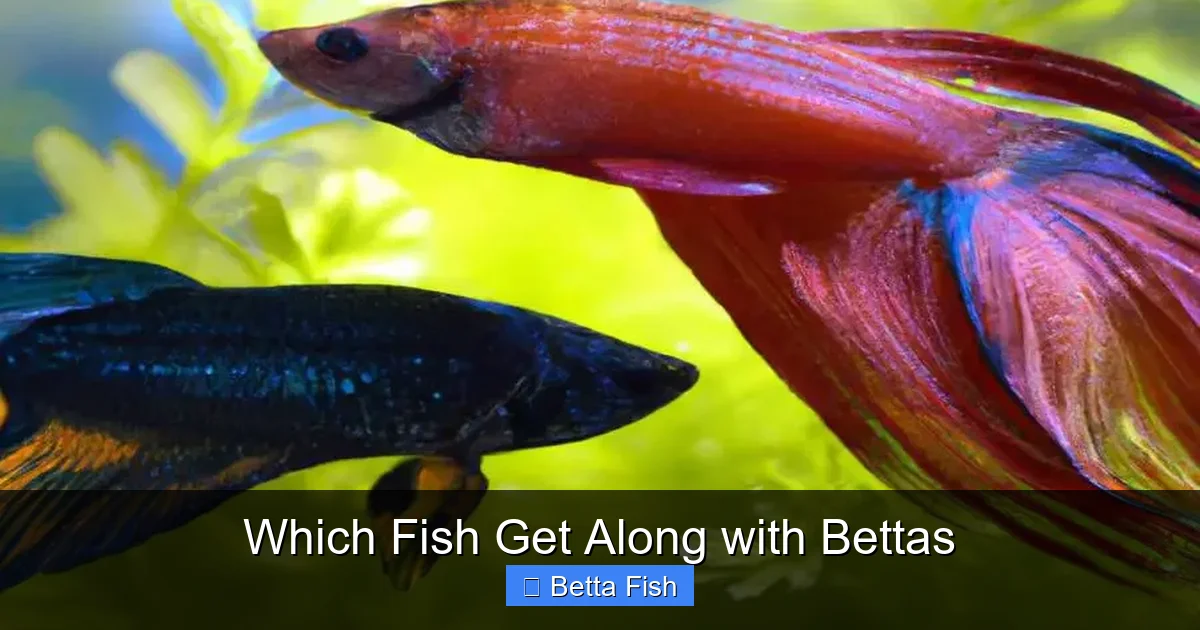 Which Fish Get Along with Bettas