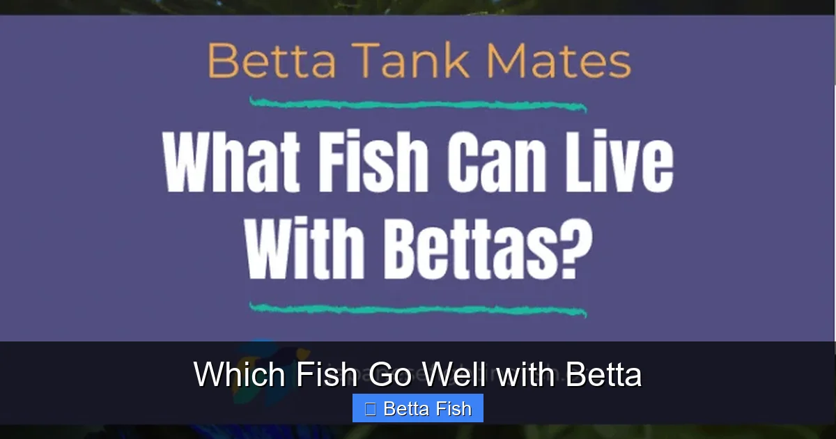 Which Fish Go Well with Betta