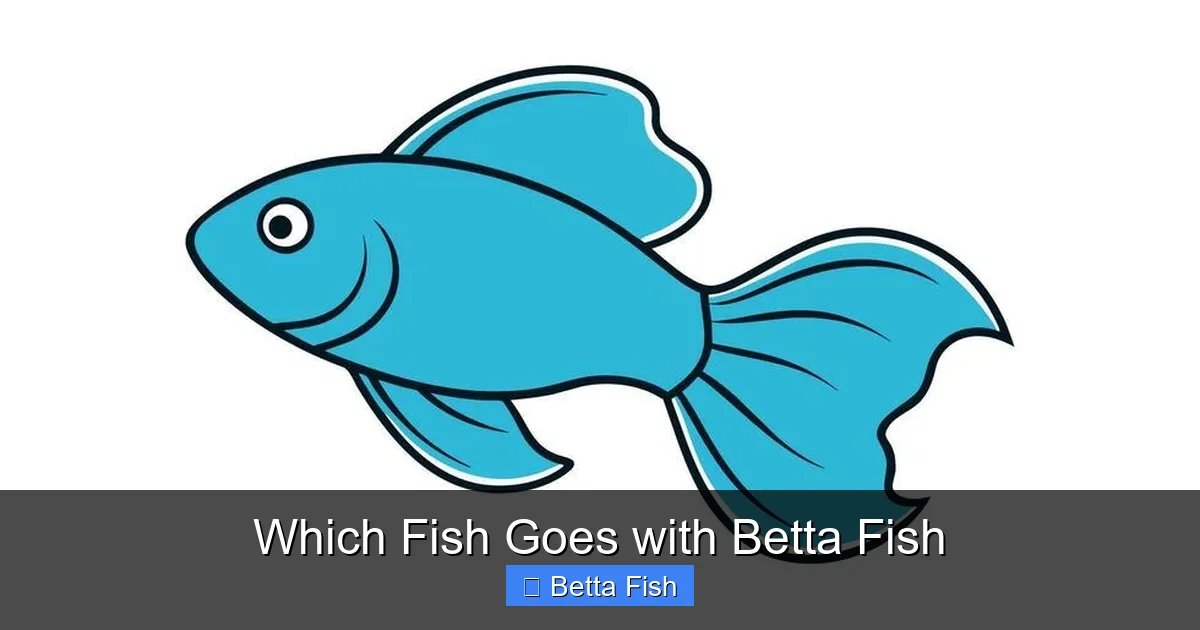 Which Fish Goes with Betta Fish