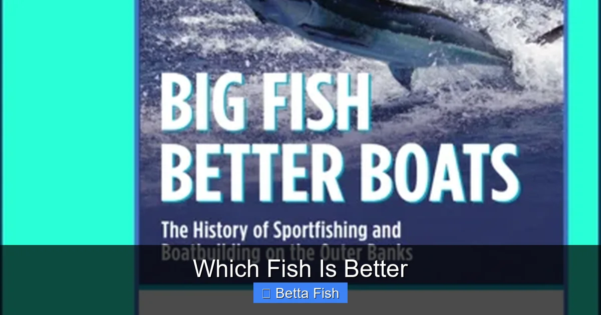 Which Fish Is Better